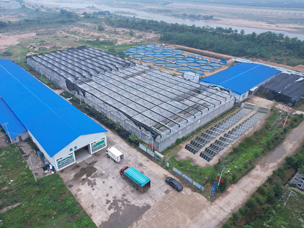 Solar Power Containers for Vlastní napájení